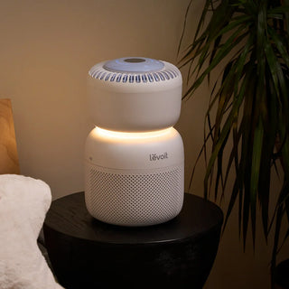 [New Launch] Introducing the Levoit Sprout Baby Air Purifier – Clean Air for Peaceful Sleep