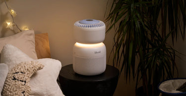 [New Launch] Introducing the Levoit Sprout Baby Air Purifier – Clean Air for Peaceful Sleep